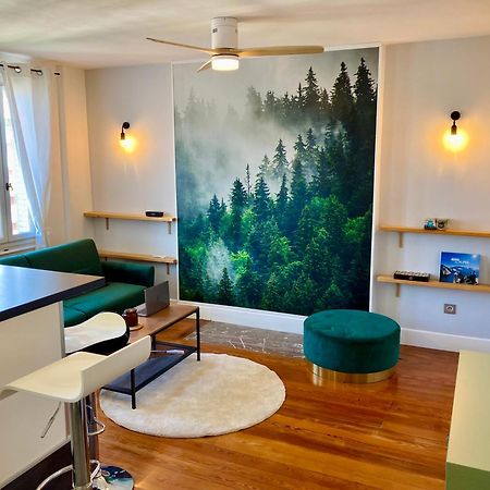 Le Nivolet, Cosy Appartement Chambéry Eksteriør bilde